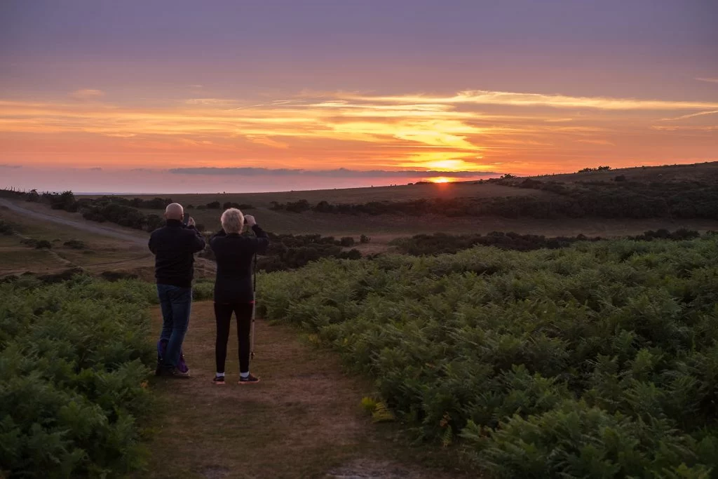 Dartmoor National Park