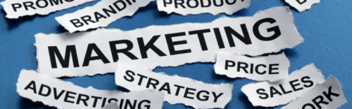 Why is marketing an appealing career choice?