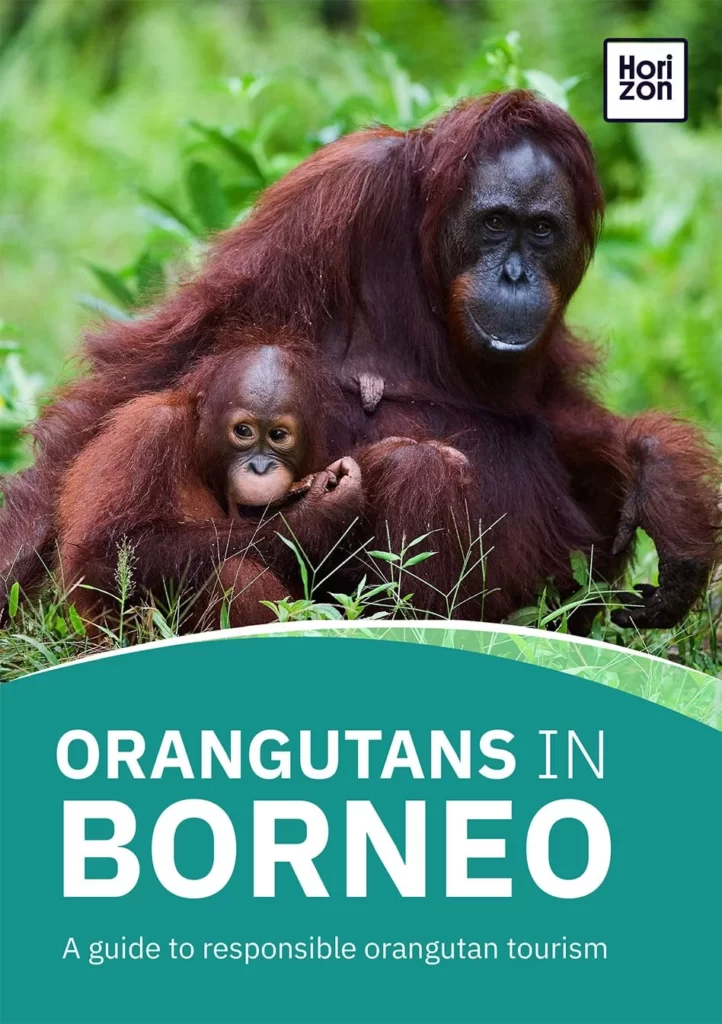 OrangutansinBorneo knapchat horizon guides.jpg