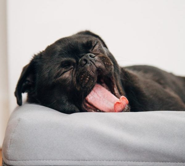 How To Run Effective Twitter Competitions & Giveaways_ 1 Twitter Competition Rules e1556273680651