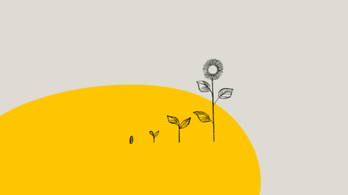 Four students, fresh energy, and why work experience will always matter at KW